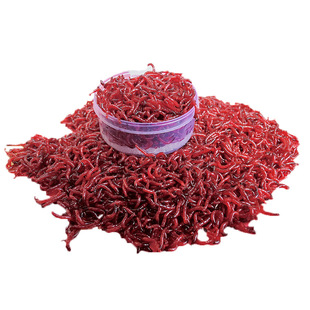 �r��t�x��̖���x���w�~�D���D�a�~Ұ��D����~���t�x���D���]