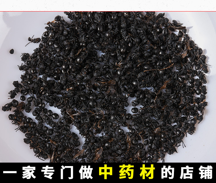 Black Ant (Polyrhachis vicina) — Dried Northeast Food-Herb for Wine Infusion & Soup key features