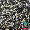 2021 Changjiang grass carp Flowers of grass carp fry Cheap freshwater breed Fry living thing Aquatic products supply