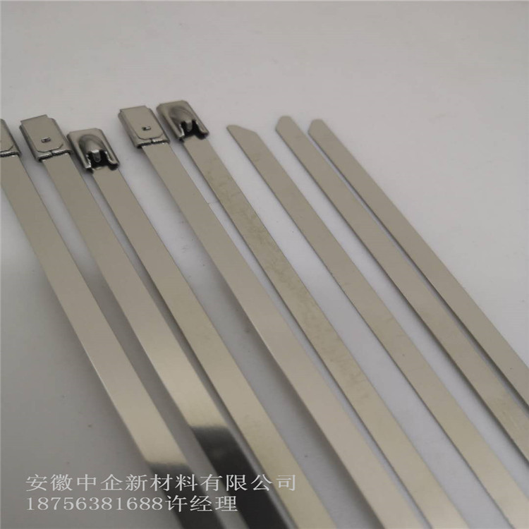 廠家直銷 4.6~19MM自鎖式不鏽鋼紮帶 長度可訂做