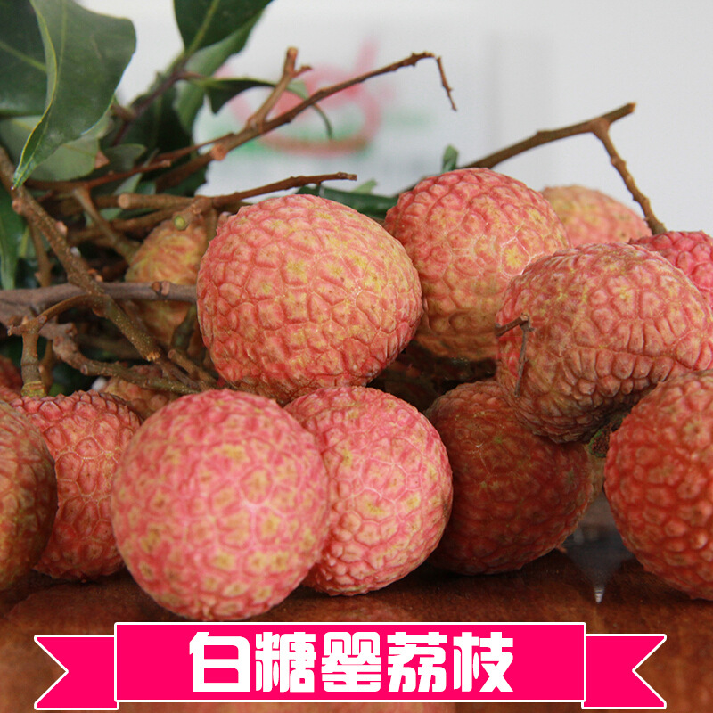 预售广西新鲜荔枝小核水果鸡嘴荔白糖罂产地直销现摘包邮微供代发|ru