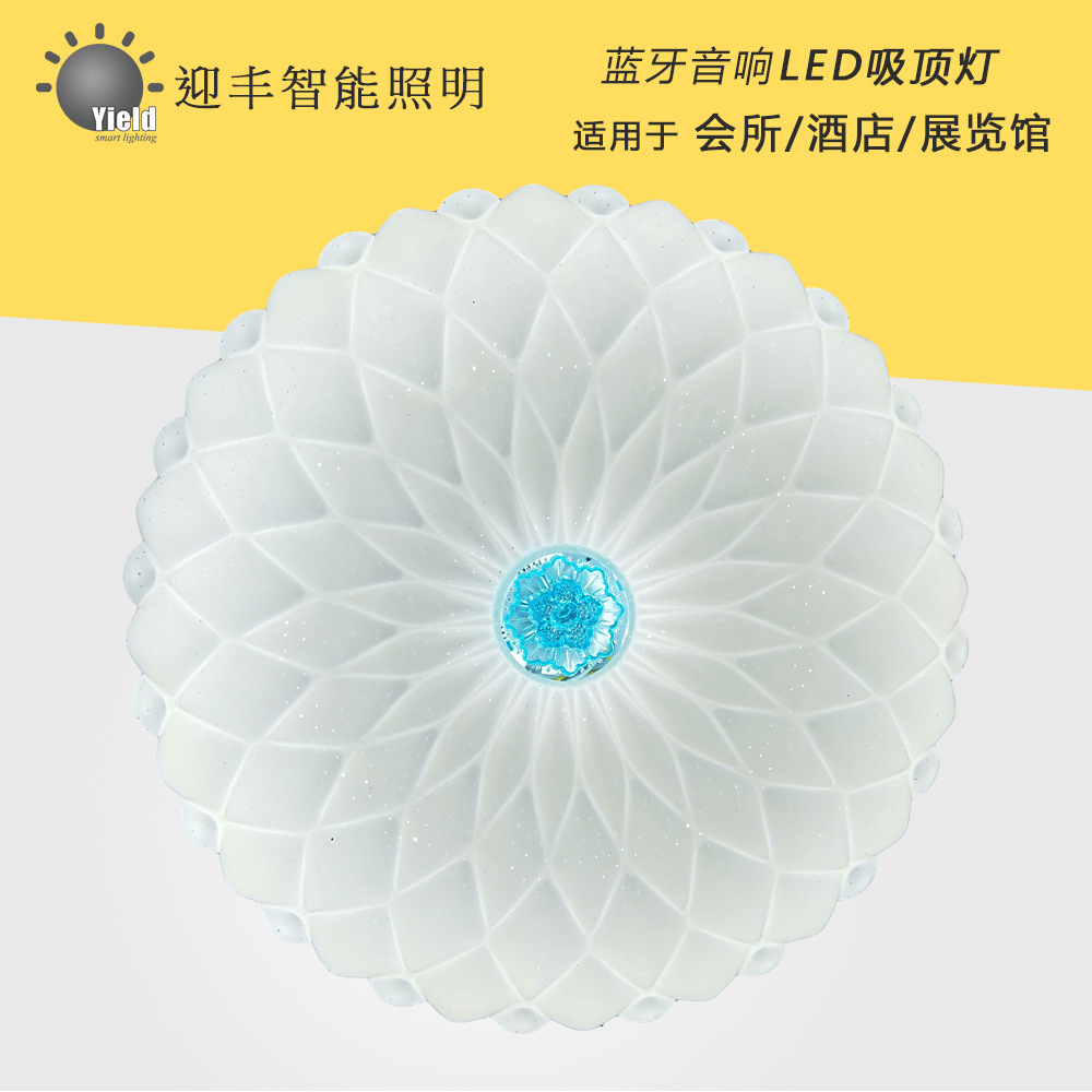 厂家生产批发 创意客厅阳台走廊书房卧室灯 简约LED新中式吸顶灯|ms