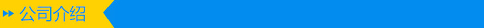 公司介绍