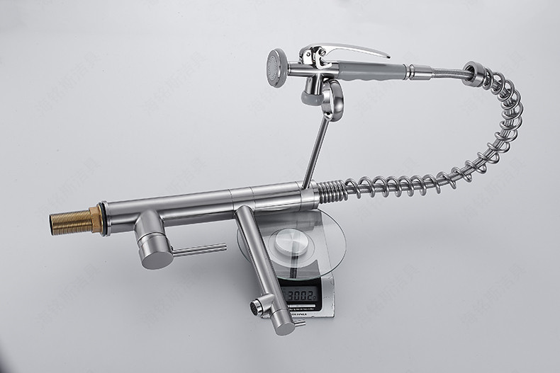 Haimingsi Spring brushed high-end kitchen faucet sink vegetable faucet dual water outlet cold and hot water 9125 undefined