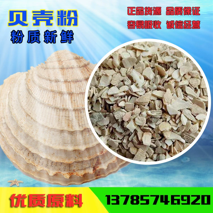 Мытый моллюсками порошок корма сырого устричного скорлупа домашний скот с высоким содержанием кальция Корм для скота