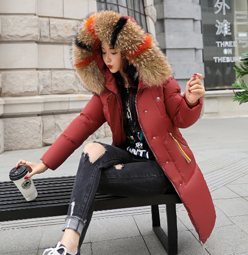 New winter coat warm cotton jacket cotton jacket wool collar