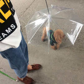 宠物伞,爱心狗猫宠物遮雨专用伞，专业生产厂家，可挂牌可印LOGO