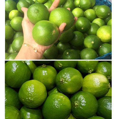 越南青金桔青桔5斤多汁新鲜现货厂家直销|ms