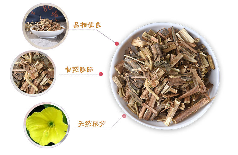 Yue Jian Cao (Oenothera biennis) — Dried Evening Primrose Herb, Food-Use Botanical key features