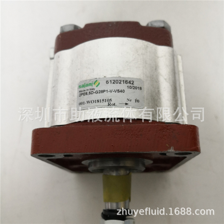 意大利SALAMI原装进口齿轮泵2PE6,5/D-G28P1-V-VS40