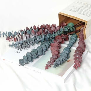 ��ٝ���塿�ȼ����~�ɻ������� ��ϸɻ��������l �b廨���仨