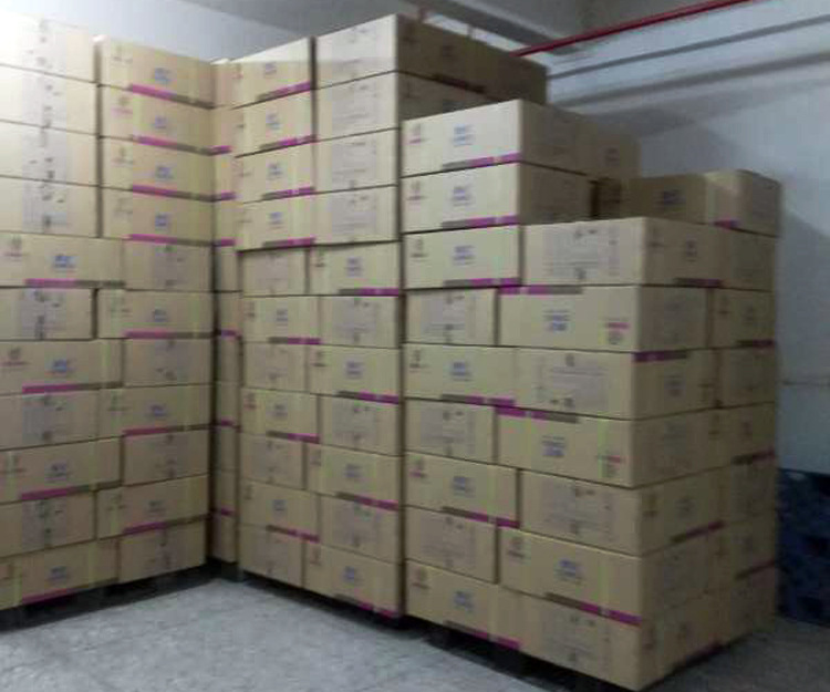 春纪实图场景图1