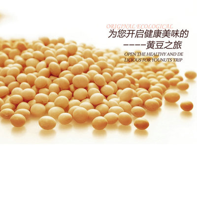 Shanxi Tunliu Manufactor Direct selling Pearl Wong Whole grains 400g Soy Boutique Sweet corn Coarse Cereals