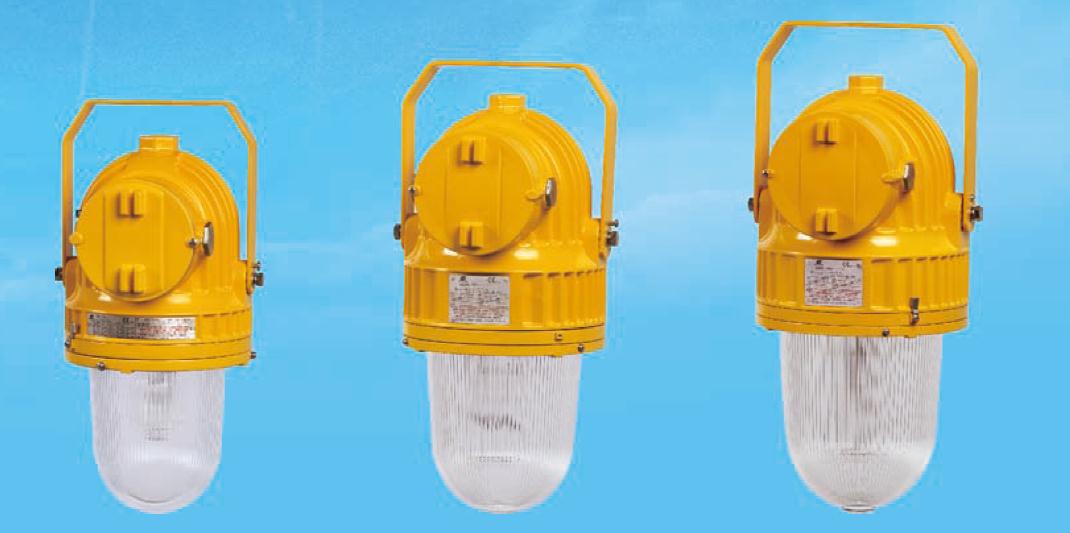 防爆灯 舱顶灯 平台甲板照明灯具 加工