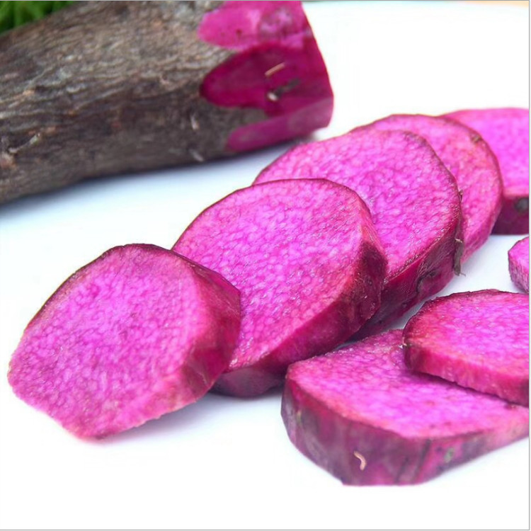 ����ɽ��ɻ� ɽҩ������ˮ�豸���� �������ȱú�ɻ�