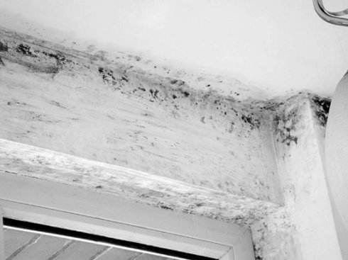 內(nèi)墻發(fā)霉1
