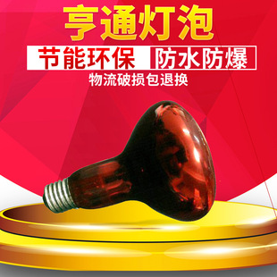 Bathroom bath heater Universal Lamp waterproof explosion-proof bath heater heating bulb special infrared heating bulb for breeding