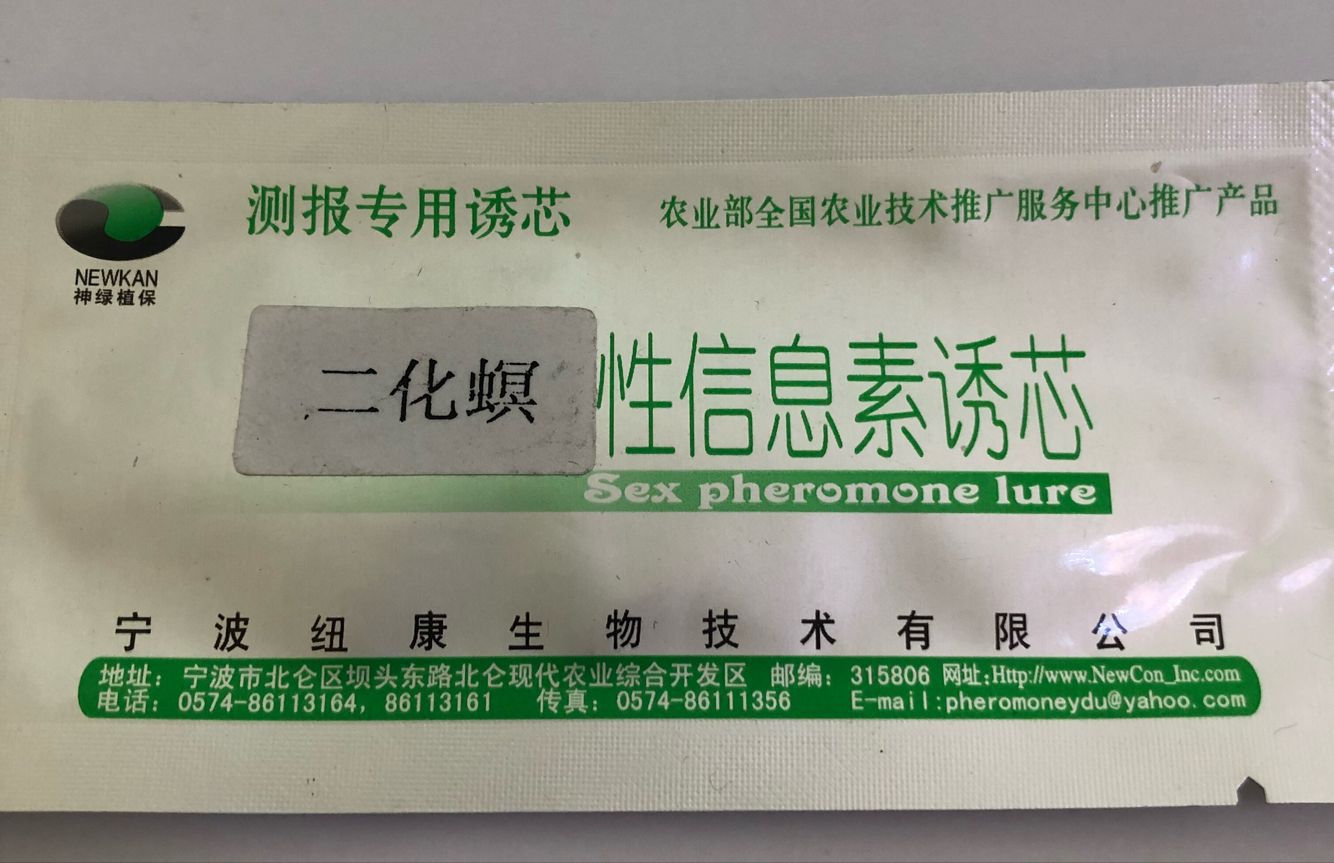 测报专用二化螟诱芯