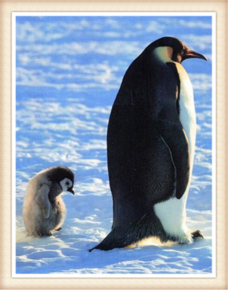 DW2335 企鹅  A052605_30x40.jpg