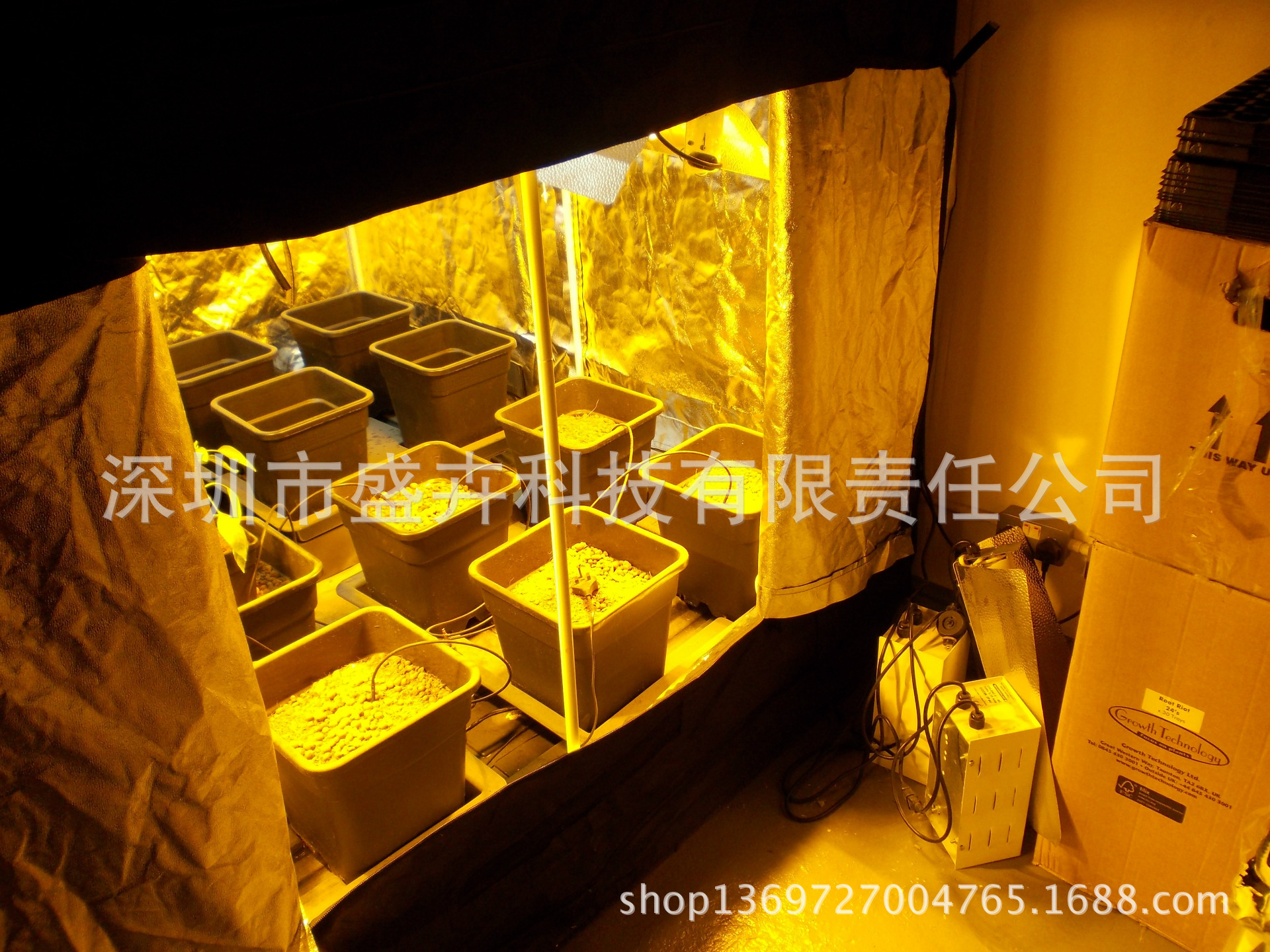 2432921479_344071377