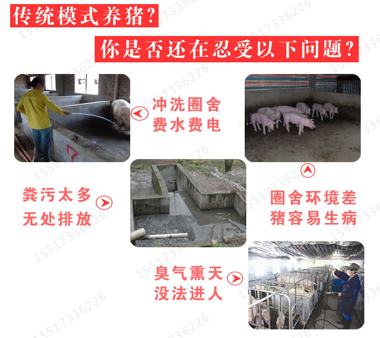 发酵床养猪模式