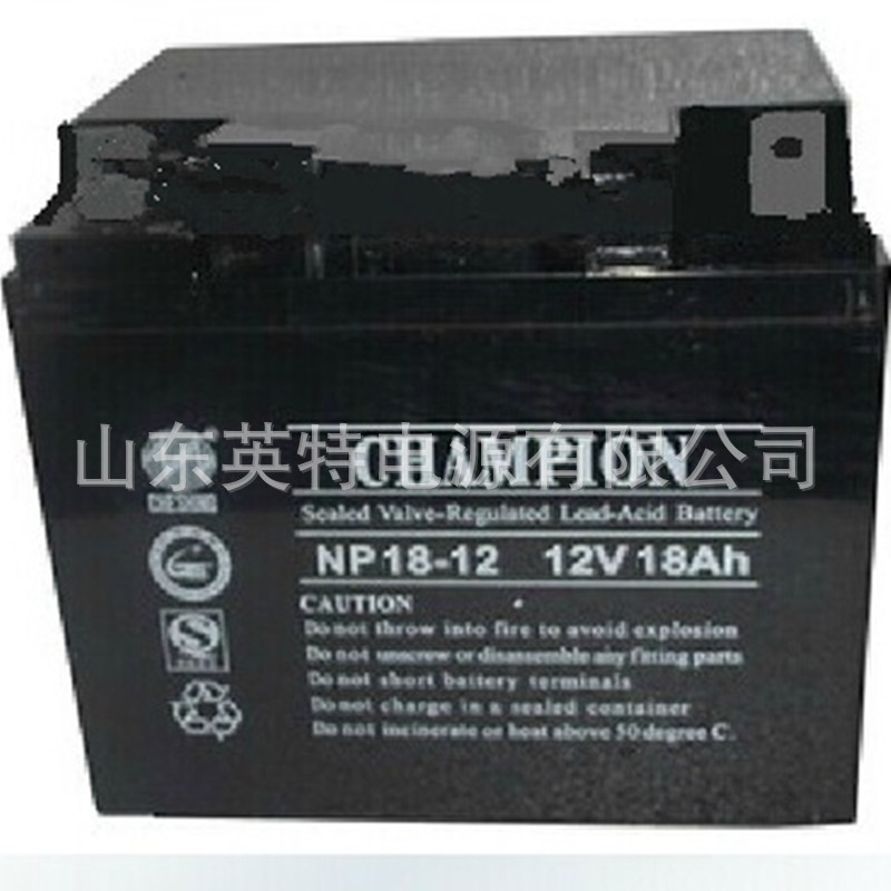 NP18-12 12V18AH 电子/报警系统 应急照明/儿童动力车/蓄电池