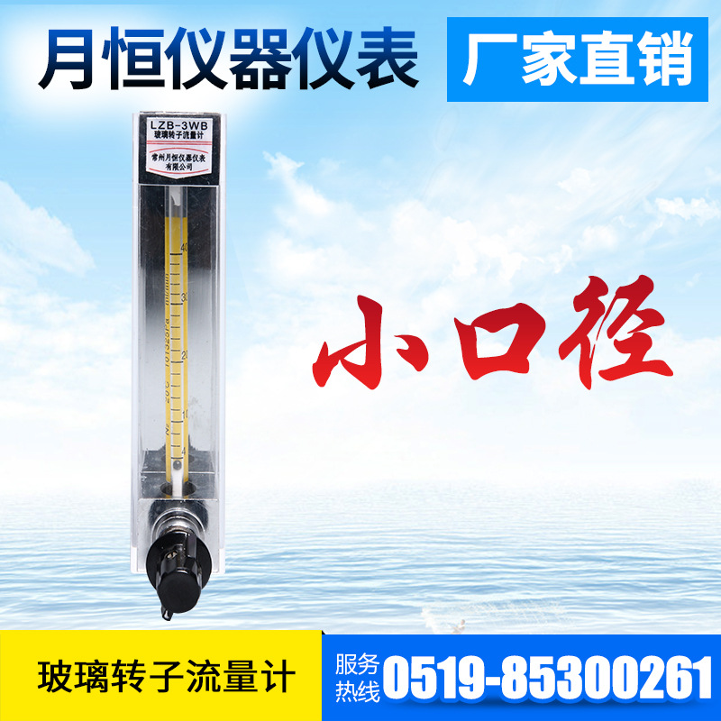 厂家供应 玻璃转子流量计  LZB系列  流量计定制 常州厂家直供