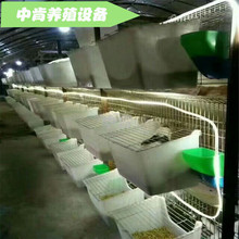 ���Ӯa���� �îa�� ���îa�� �Ӻ����îa�� ���Ӯa�� �������a