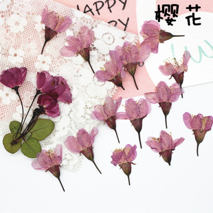 押花圖片 海量高清押花圖片大全 阿里巴巴