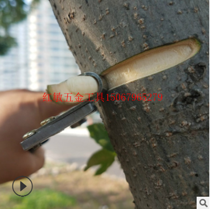 佐川田新型环剥钳枣树环剥工具 剥皮刀 开甲器割树皮果树 环割剪-阿里巴巴