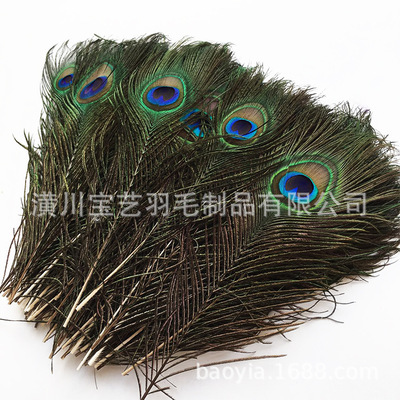 25-30cm天然孔雀毛 DIY饰品羽毛装饰羽毛 家居插花舞台服装羽毛|ru