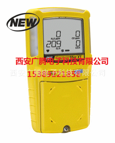 GAMAX-XT泵吸式多种气体检测仪 BW 泵吸式气体检测仪 气体检测