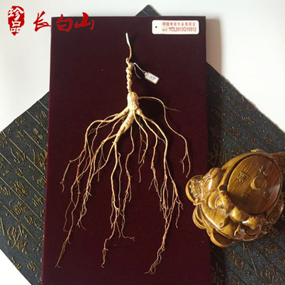 東北人參移山參 皮盒60公分林下參18年參齡 長白山林下參帶證書