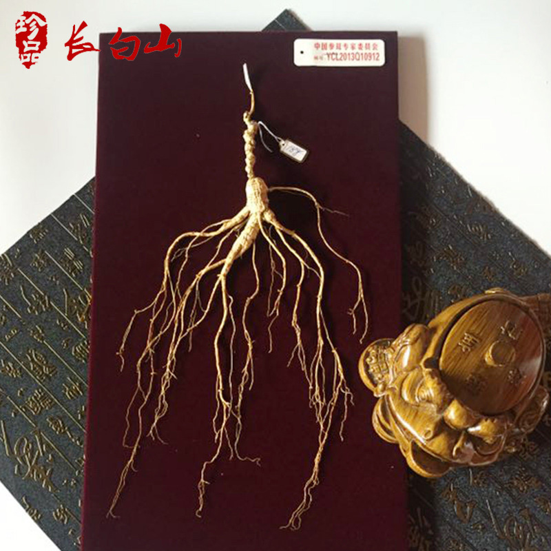 東北人參移山參 皮盒60公分林下參18年參齡 長白山林下參帶證書