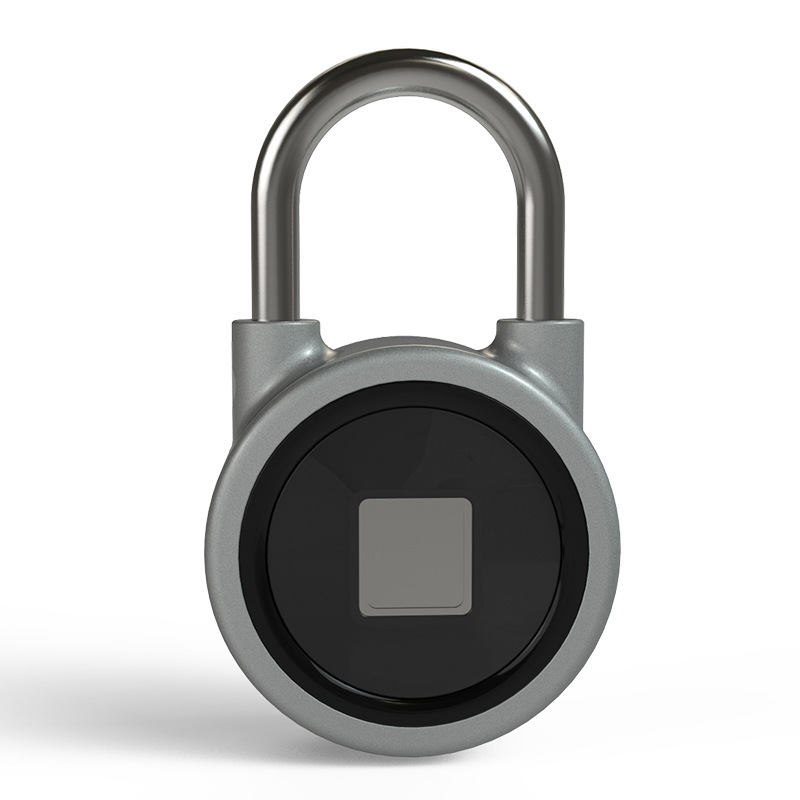 Manufactor Direct selling fingerprint Padlock intelligence Bluetooth Electronic lock Warehouse door Anti-theft locks dormitory cabinet dorm