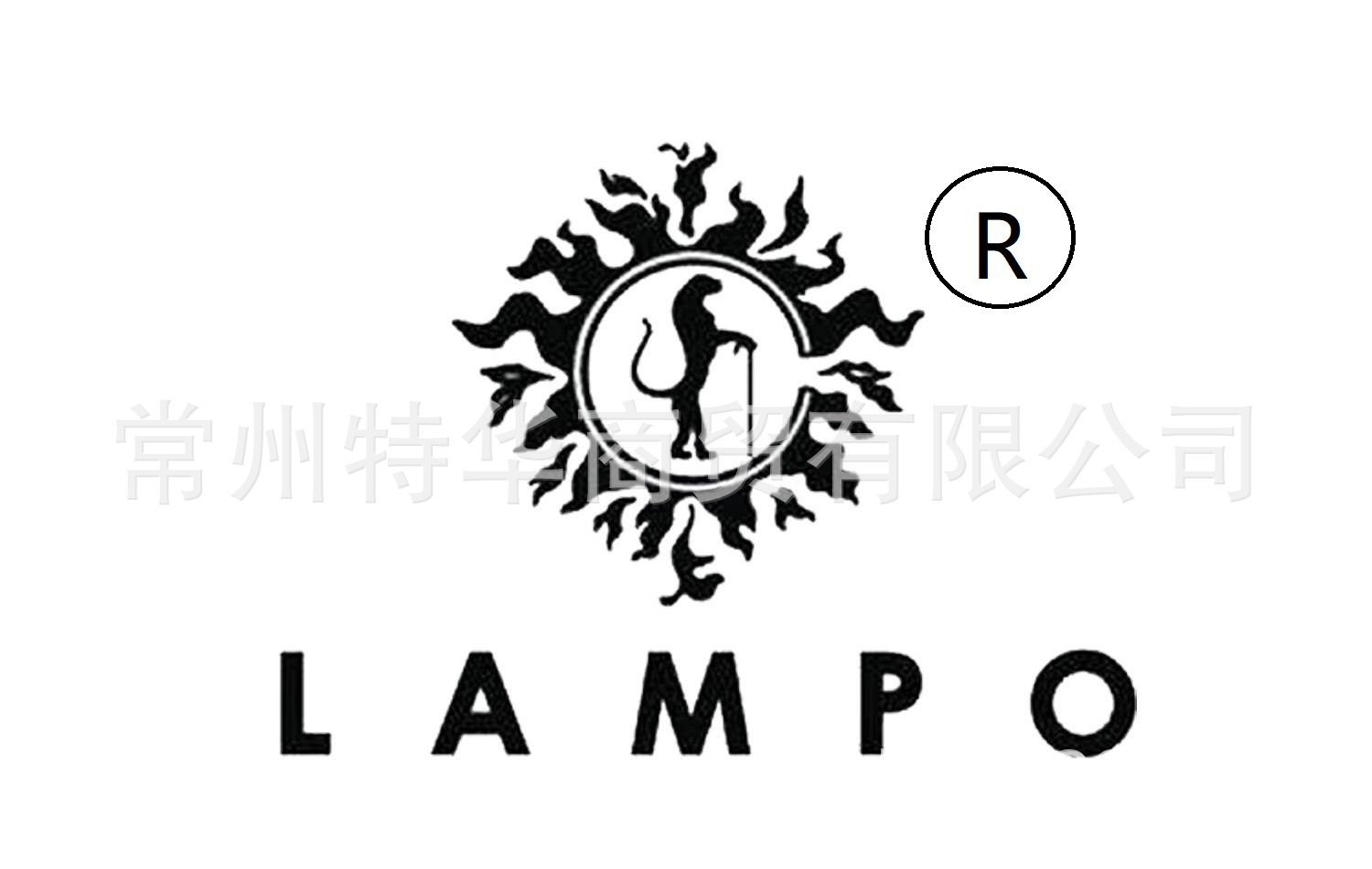 D202 大孔强碱Ⅱ型阴树脂