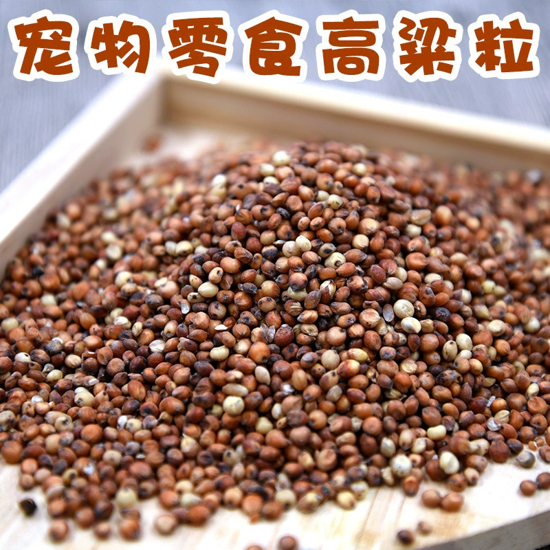 Хомяк закуска с панцирем сорго рис попугай голубь птица кролик Тоторо маленький питомец смешанные зерна 500 г