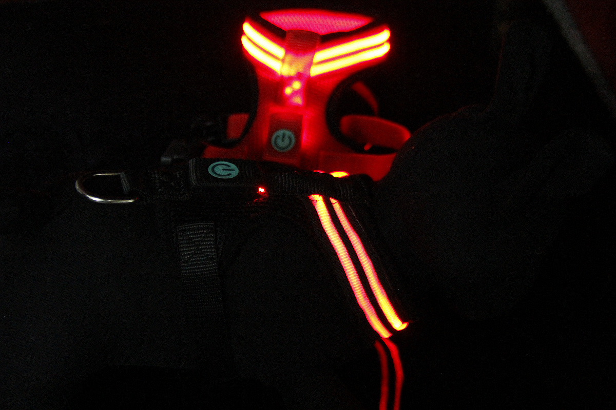 双光纤发光胸背带1200 (34).jpg