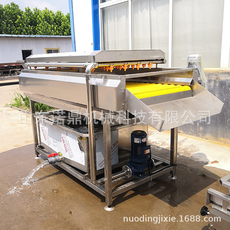 橘子柠檬抛光清洗机  平行毛辊清洗设备 去杂生产线专用设备