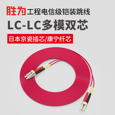 胜为厂家直销 防鼠咬室内LC-LC多模双芯3米 铠装光纤跳线尾纤缆