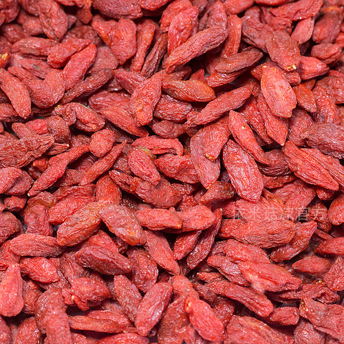 Ningxia Red Goji Berries 500g Washless Goji Berry Bulk Wholesale Fresh Goji Berry Direct Manufacturer Sales One Piece Shipping