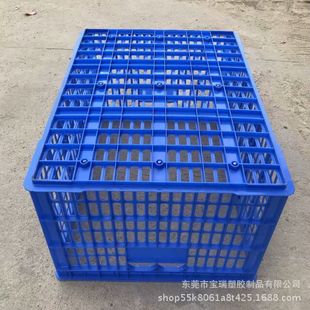 �����߲ˌ��Î������D�} pp���Ͽ� �Ӻ����D����o늷�������