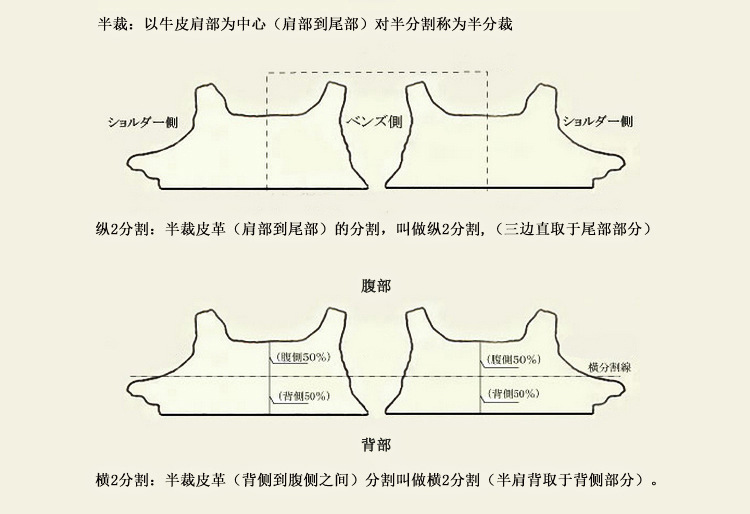 8165623381_717451573