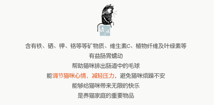 猫薄荷详情图2