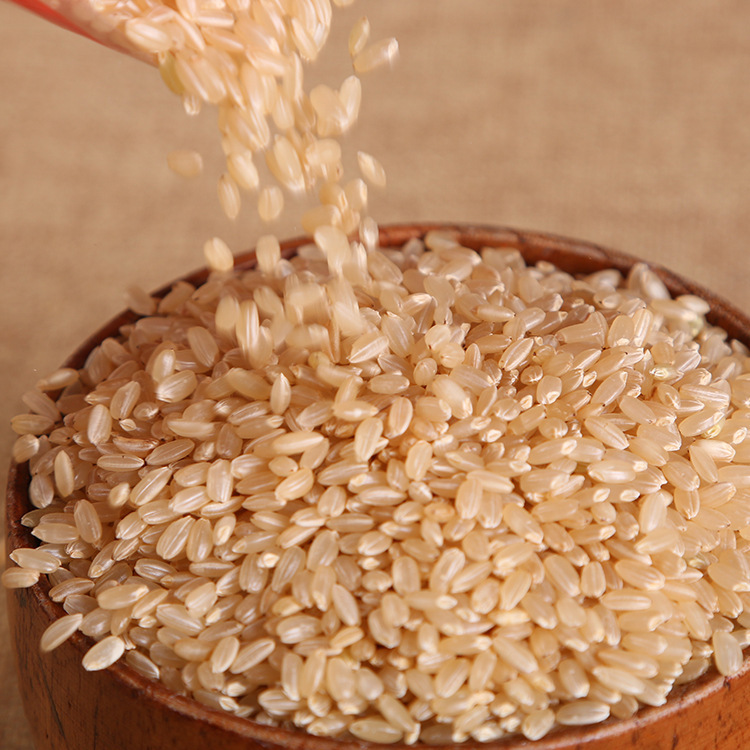 东北大米糙米500G包装1斤糙米特产1斤农家糙米厂家产地货源