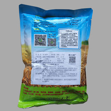 ����ԴW �����s�Z��Ʒ���턩 �s�Z��l�w����l�������������