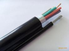 RVV1G16*1.25/RVV1G12*1.25䓽z���ؾ���늺��J�ֱ�������|