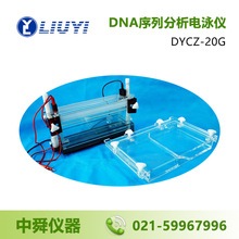 北京六一 DYCZ-20G DNA序列分析电泳仪 电泳槽