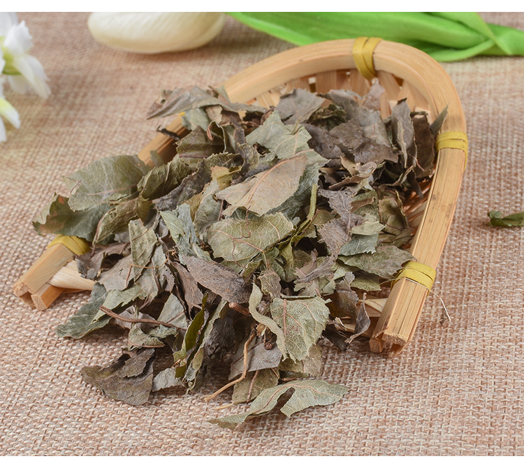 Ping Di Mu (Ardisia japonica) — Dried Food-Herb Botanical, Hubei Origin, 500g key features