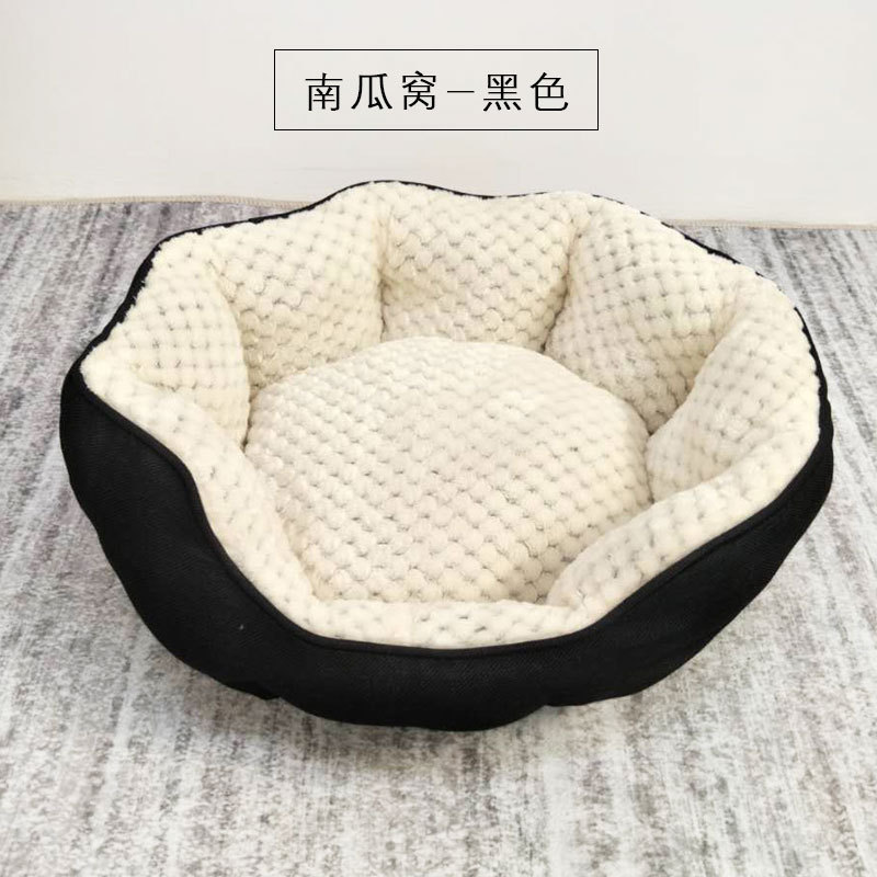 Гнездо черной тыквы